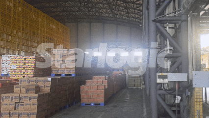 07.gif